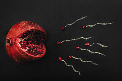 石榴种子。象征着妇女的生育能力。图片下载