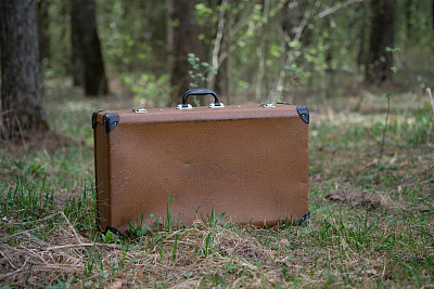 树林里的棕色大箱子图片下载