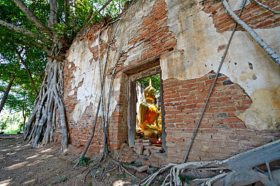 树中的古庙图片下载