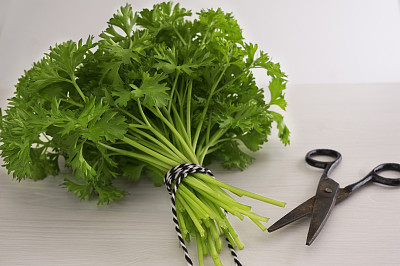 一束绿香菜图片下载