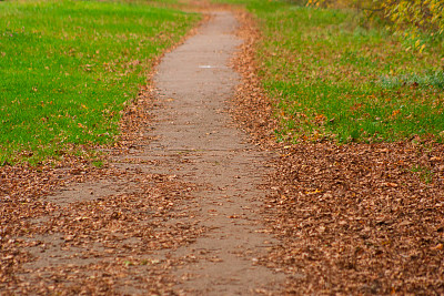 公园路图片下载