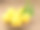 篮子里的芒果/新鲜芒果素材图片