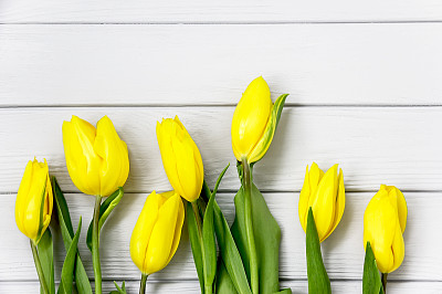 白色的背景桌上放着美丽的黄色郁金香素材图片