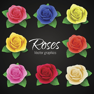 一套不同颜色的逼真玫瑰。矢量图形图片下载