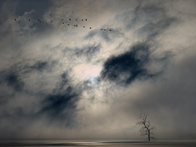 在深秋图片下载