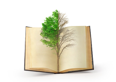 思维的概念。从书本印刷到现实世界的二重性树。孤立在白色背景上图片下载