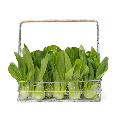 新鲜的上海(小)paksoi孤立在白色的背景图片下载