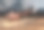 一群野马素材图片