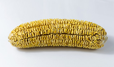 白色背景上的干玉米特写图片下载