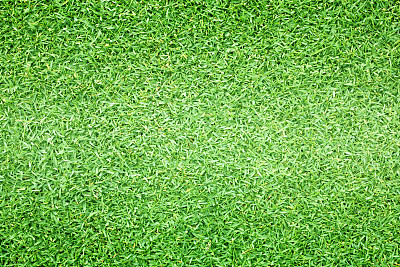 草地背景高尔夫球场绿色草坪格局图片下载