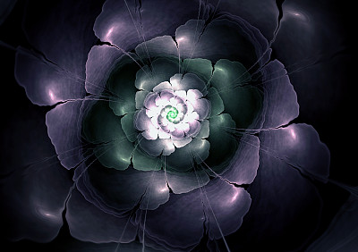 抽象花计算生成黑色背景上的图像图片下载