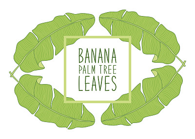 植物矢量图素材ID：167629870