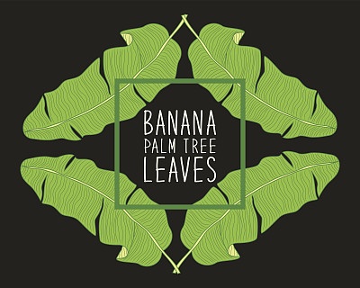 植物矢量图素材ID：167630770