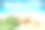 沙滩背景上的贝壳和棕榈。夏天的海滩。图片下载