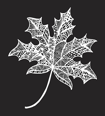 装饰用的黑色和白色的枫树叶。-插画正式花园，植物，枫叶，图案，树图片下载
