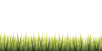 绿草边界上的白色背景，矢量插图图片下载
