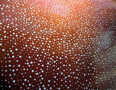 圆亮点图案图片下载