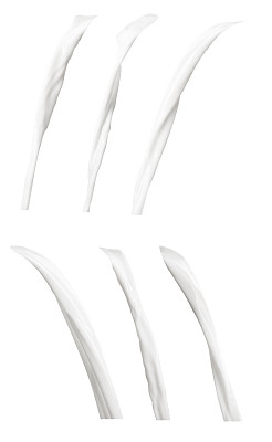 乳流组图片下载