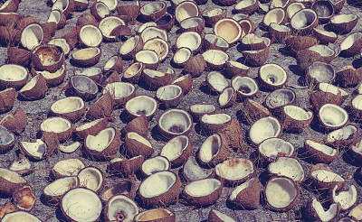 食物的照片图片下载