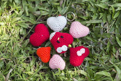 红鹿上草高角图片下载