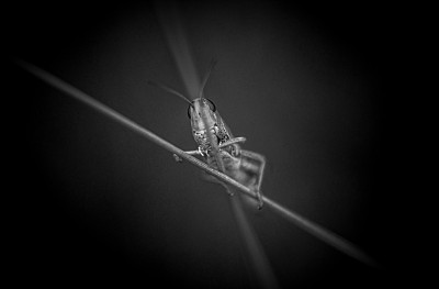 走钢丝图片下载