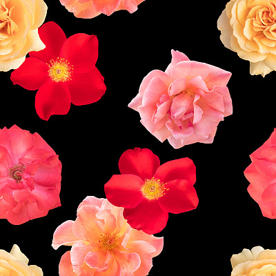 无缝照片上的黑色玫瑰花卉图案图片下载