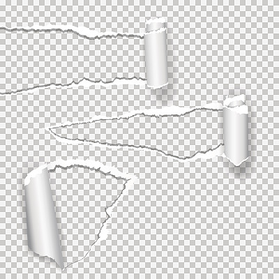 现实的矢量撕裂纸与撕裂的边缘与空间为您的文本。素材图片