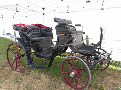 老式的马车在绿色草地上图片下载