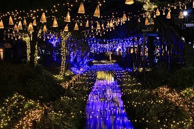 日本冬天的照明图片下载