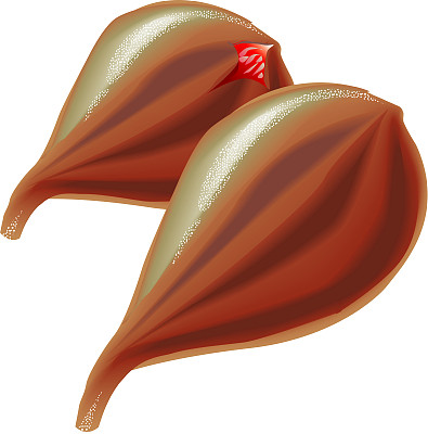 无花果图片下载