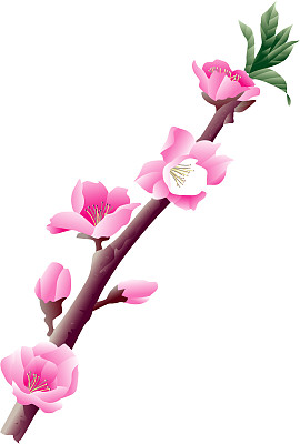 桃花儿素材图片