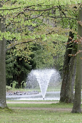 春天在公园里种花图片下载