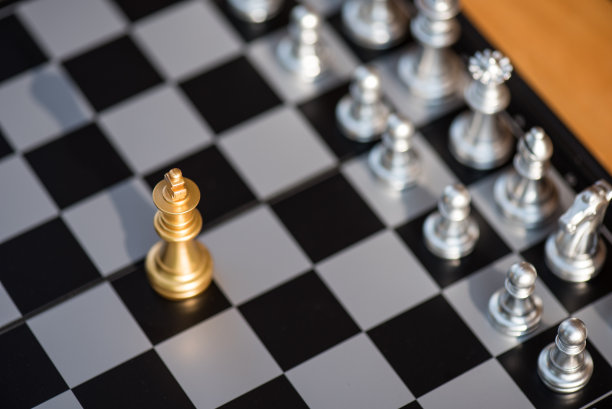 一个棋子对全套棋子图片下载