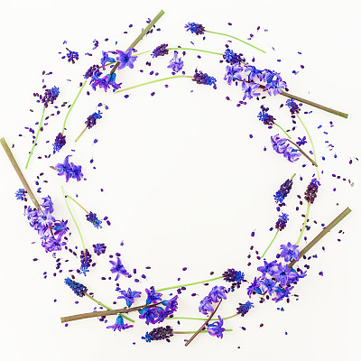 圆形的花框架蓝色的花和花瓣孤立在白色的背景。平躺，俯视图。图片下载