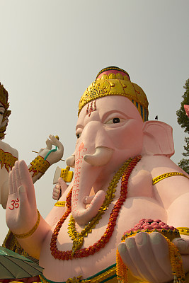 像象四面宛的手图片下载