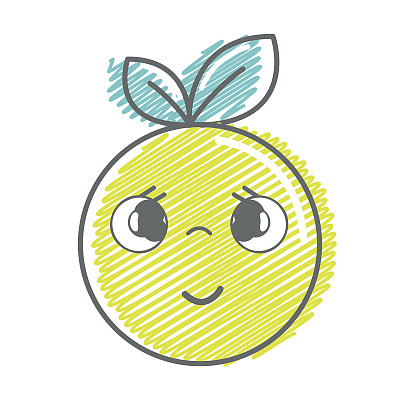 可爱的漂亮害羞的橙色水果图片下载