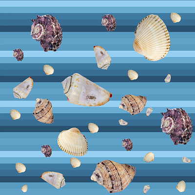 无缝连续的背景与贝壳图片下载
