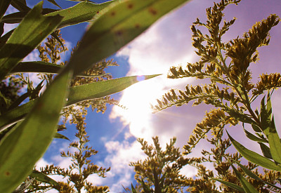 我们到达向上图片下载