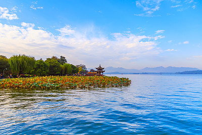 美丽的杭州西湖风光素材图片