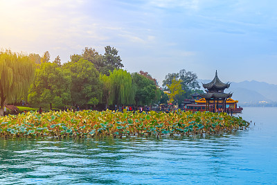 美丽的杭州西湖风光素材图片