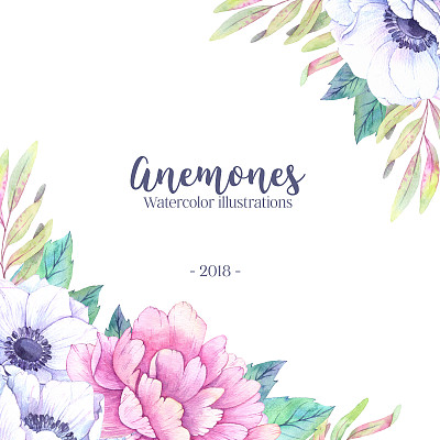 花卉插画素材ID：167745118