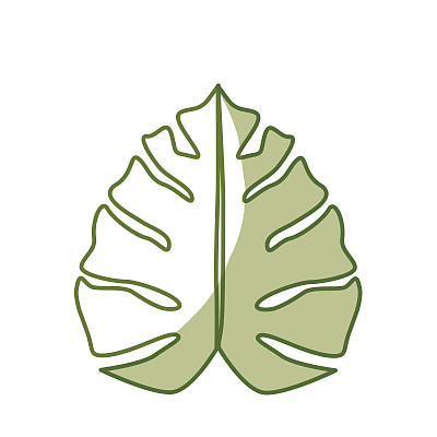 森林里奇异植物美丽叶子的剪影图片下载