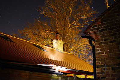 橡树在夜晚被照亮图片下载