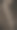 梯图片下载