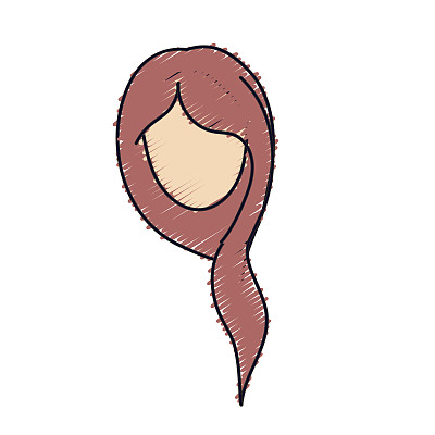 可爱的女人的脸和发型图片下载