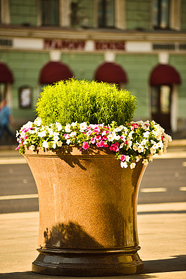 街道上的大理石花瓶上插着花图片下载