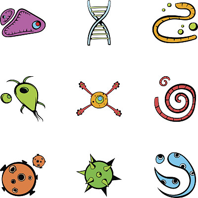 生物图标集，卡通风格图片下载