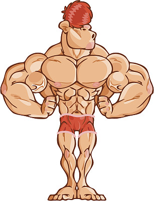 运动员图片下载