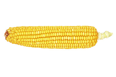 耳朵的玉米图片下载
