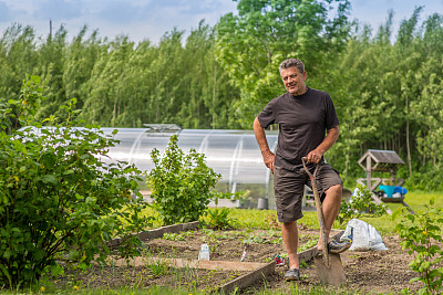 年轻人在花园里修剪草坪图片下载